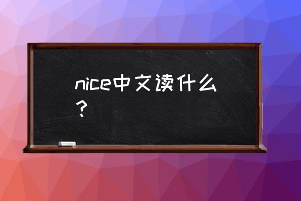 nice什么意思 nice中文读什么？