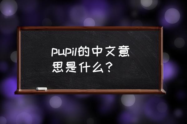 pupil用中文怎么发音 pupil的中文意思是什么？