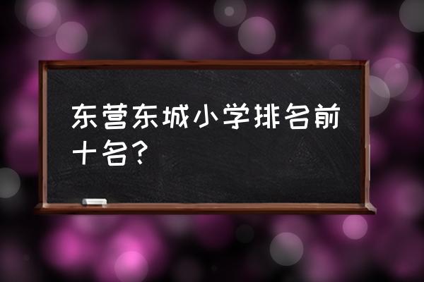 山东省广饶县第一实验小学 东营东城小学排名前十名？