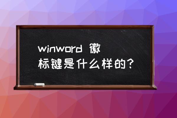word徽标键 winword 徽标键是什么样的？