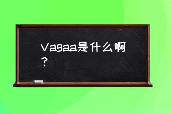 vagaa到底是啥呀 Vagaa是什么啊？