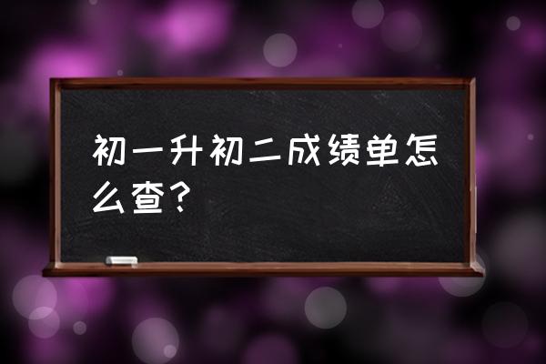 滨海县第一初级中学查分 初一升初二成绩单怎么查？