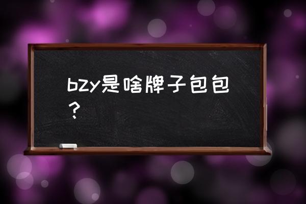 上海衡平仪器 bzy是啥牌子包包？