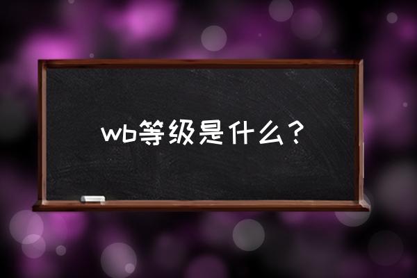 计算机二级wb wb等级是什么？