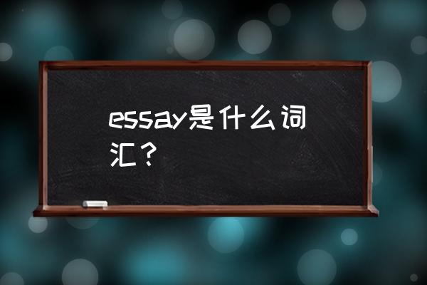essay是什么意思中文 essay是什么词汇？