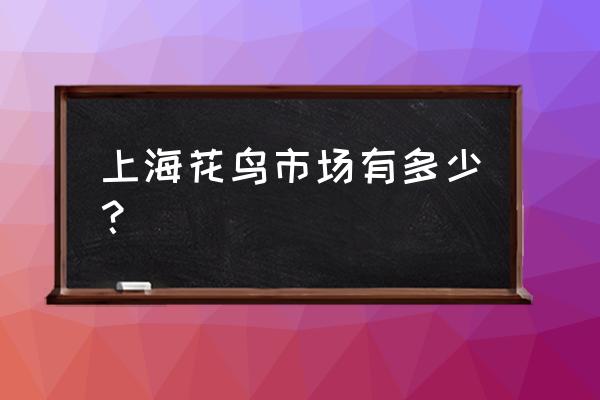 武宁县第一中学公众号 上海花鸟市场有多少？