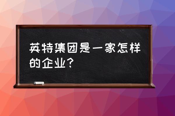2002年浙江高考文科状元 英特集团是一家怎样的企业？